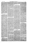American Settler Saturday 30 December 1882 Page 3