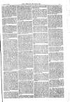 American Settler Saturday 17 February 1883 Page 5