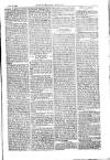 American Settler Saturday 13 October 1883 Page 3