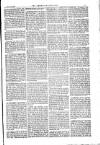 American Settler Saturday 13 October 1883 Page 5