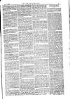 American Settler Saturday 20 October 1883 Page 5
