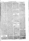 American Settler Saturday 27 October 1883 Page 7