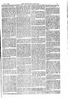 American Settler Saturday 17 November 1883 Page 5