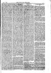 American Settler Saturday 24 November 1883 Page 7