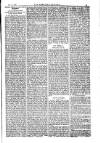 American Settler Saturday 15 December 1883 Page 3