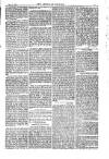 American Settler Saturday 03 May 1884 Page 5