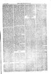 American Settler Saturday 24 January 1885 Page 3