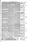 American Settler Saturday 24 January 1885 Page 5