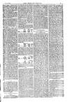 American Settler Saturday 24 October 1885 Page 3