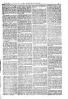 American Settler Saturday 24 October 1885 Page 5