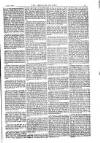 American Settler Saturday 16 October 1886 Page 5