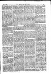 American Settler Saturday 24 November 1888 Page 5