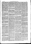 American Settler Saturday 02 February 1889 Page 5