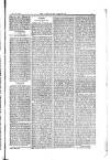 American Settler Saturday 25 January 1890 Page 3