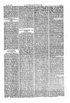 American Settler Saturday 26 July 1890 Page 3