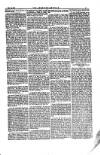 American Settler Saturday 13 February 1892 Page 5