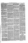 American Settler Saturday 12 November 1892 Page 5