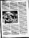 Boxing Saturday 11 September 1909 Page 17