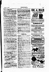 Boxing Saturday 17 June 1911 Page 23