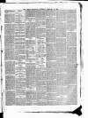 Indian Statesman Saturday 12 February 1876 Page 3