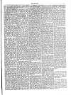 Socialist (Edinburgh) Sunday 01 January 1905 Page 3