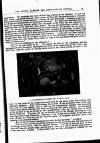 Kinematograph Weekly Tuesday 15 November 1904 Page 21