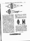 Kinematograph Weekly Tuesday 15 May 1906 Page 17