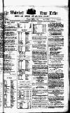 Waterford News Letter Tuesday 01 June 1875 Page 1