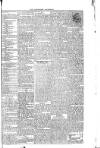 Western Star and Ballinasloe Advertiser Saturday 11 October 1845 Page 3