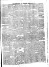 Western Star and Ballinasloe Advertiser Saturday 04 July 1846 Page 3