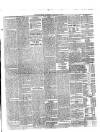 Western Star and Ballinasloe Advertiser Saturday 21 January 1854 Page 3