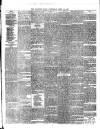 Western Star and Ballinasloe Advertiser Saturday 28 July 1860 Page 4