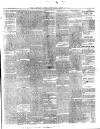Western Star and Ballinasloe Advertiser Saturday 08 April 1865 Page 3