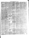 Western Star and Ballinasloe Advertiser Saturday 05 June 1869 Page 3