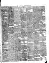 Western Star and Ballinasloe Advertiser Saturday 12 June 1869 Page 3