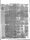 Western Star and Ballinasloe Advertiser Saturday 26 June 1869 Page 3