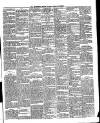 Western Star and Ballinasloe Advertiser Saturday 12 January 1889 Page 3