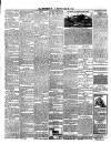 Western Star and Ballinasloe Advertiser Saturday 15 June 1895 Page 4