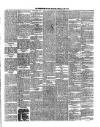 Western Star and Ballinasloe Advertiser Saturday 23 February 1901 Page 3