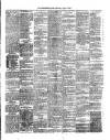 Western Star and Ballinasloe Advertiser Saturday 06 April 1901 Page 3