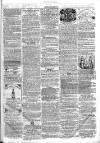 Chelsea & Pimlico Advertiser Saturday 13 February 1864 Page 7