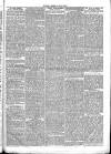 Chelsea & Pimlico Advertiser Saturday 12 March 1864 Page 3