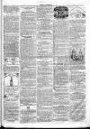Chelsea & Pimlico Advertiser Saturday 19 March 1864 Page 7