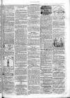 Chelsea & Pimlico Advertiser Saturday 02 April 1864 Page 7