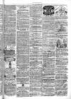 Chelsea & Pimlico Advertiser Saturday 23 April 1864 Page 7