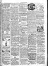 Chelsea & Pimlico Advertiser Saturday 07 May 1864 Page 7