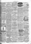 Chelsea & Pimlico Advertiser Saturday 21 May 1864 Page 7