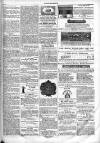 Chelsea & Pimlico Advertiser Saturday 30 July 1864 Page 5