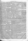 Chelsea & Pimlico Advertiser Saturday 30 July 1864 Page 7