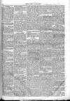 Chelsea & Pimlico Advertiser Saturday 01 October 1864 Page 7